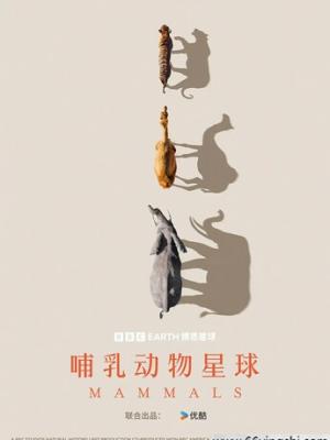 雨落梧桐巷 影视封面